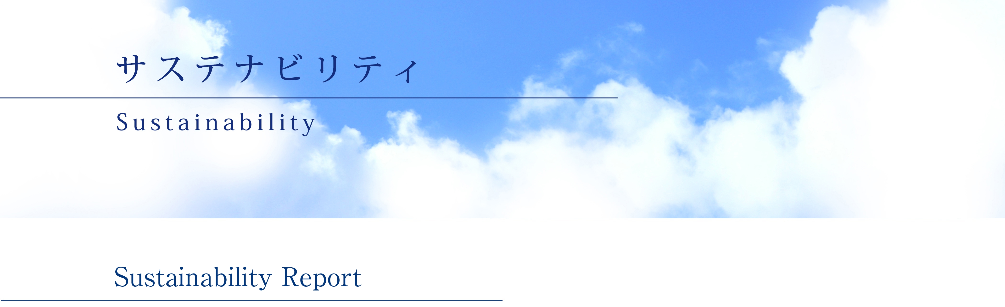 Sustainability Report
